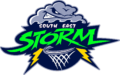 Southeast Storm